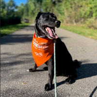 Dog Days of Summer Challenge a doggone good time for TQL’ers and their pets